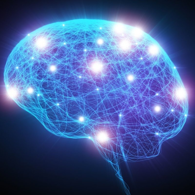 Evaluation et stratégies de soutien valorisant la neurodiversité pour les adultes atteints de TDAH en ergothérapie